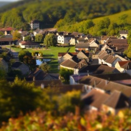 Fontenay-près-Chablis, notre village.